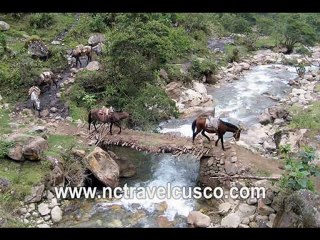 SALCANTAY - SALKANTAY 17