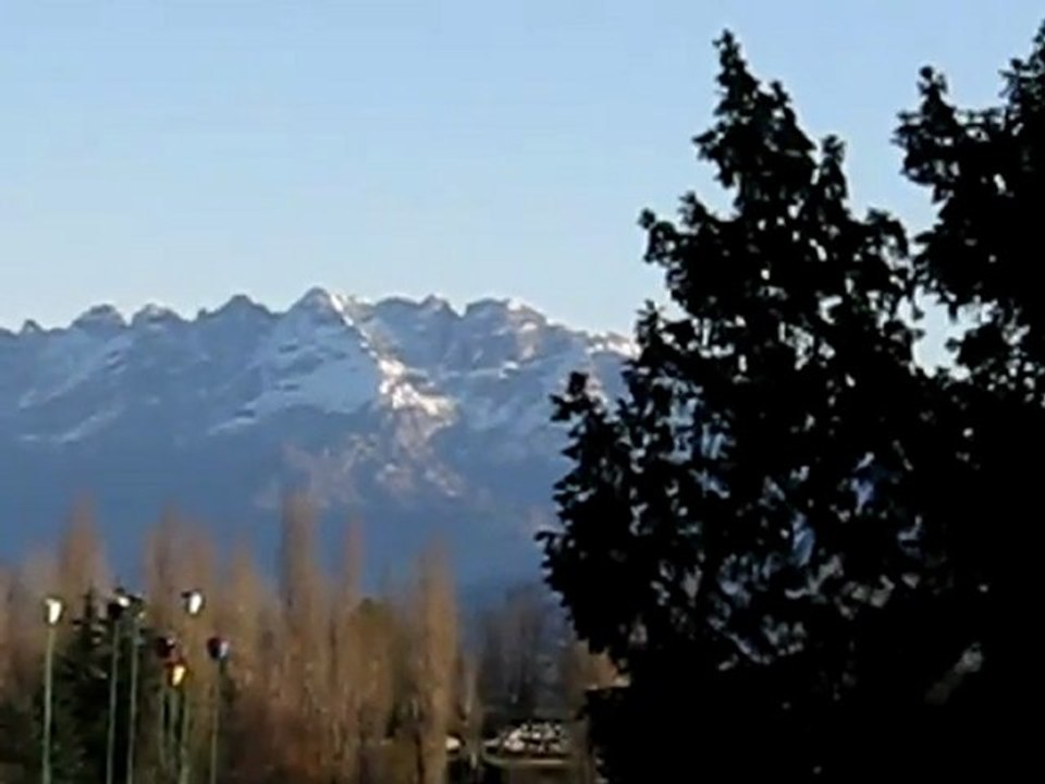 Neve