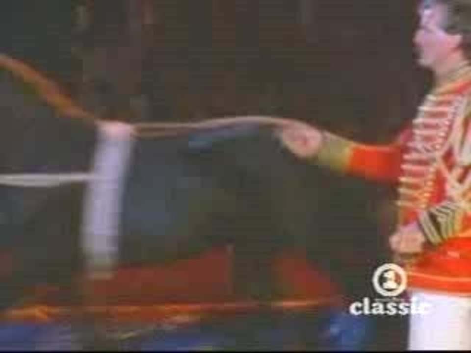 Def Leppard - Animal
