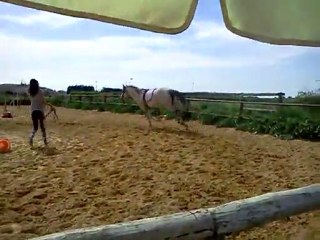 Lonely séance de longe