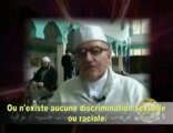 Notre chemin est l'Islam ! Pourquoi ont-ils choisi l'Islam ?