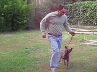 Tie Von haus Kurt, 90 días. Fuss y Sitz . Refuerzo con juguete.