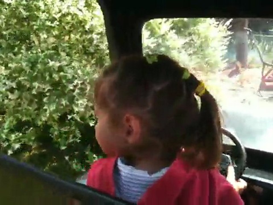 Car in Fraipertuis Avril 2011