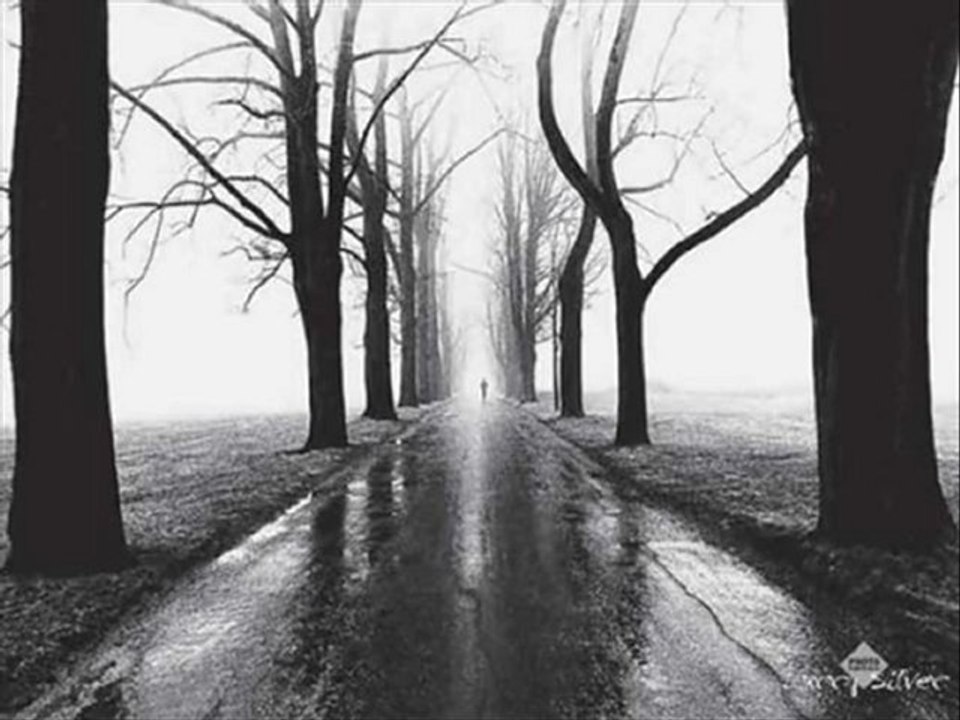 Eşref Ziya  SENSİZ