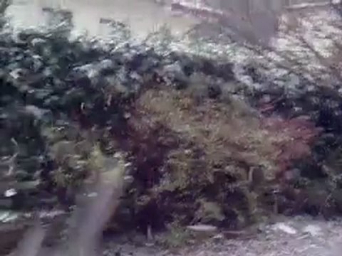 Neve abbondante del 17/12/10