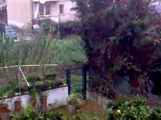 Arance sotto la neve a Borgo Hermada