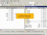 Managing files in WinSCP by VodaHost.com web hosting