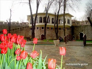 Gülhane Parkı'nda Lale Zamanı 2011