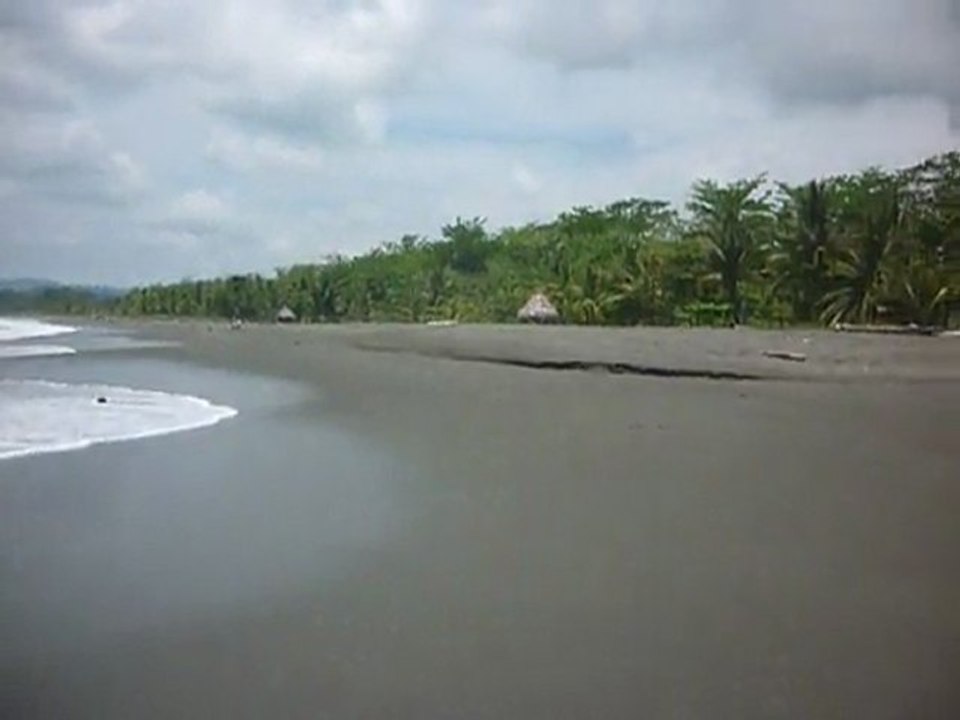 Mieux que les elephants de mer