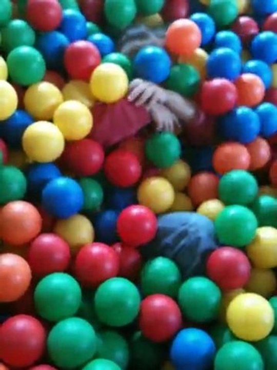 Piscine à balles Fraispertuis