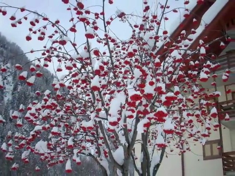 Pejo Fonti Estate e inverno