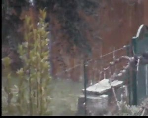 Grandi rovesci 1/3/2011