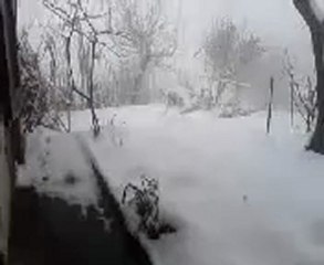 neve e nebbia il 2 marzo 2011