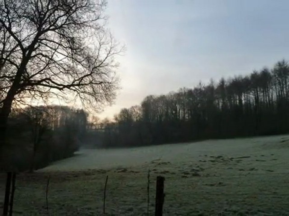 Année 2011 - mois de mars - nº 14