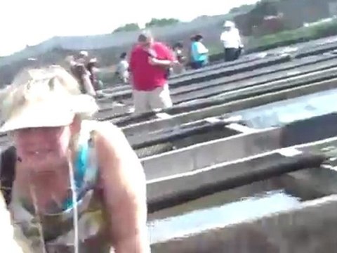 Florida Aquatic Nursery. Cabomba