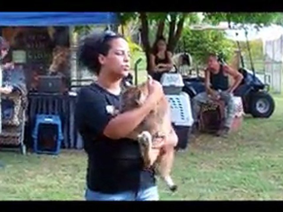 ZWF Bridal/Baby Shower Event 4/23/11