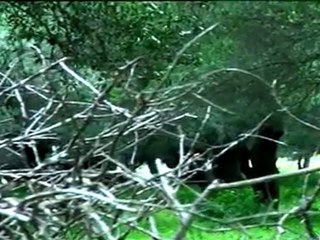 Rosario, fiel a su estilo en "Yo quiero vivir"