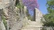 Town of Mystras - Great Attractions (Mystras, Greece)