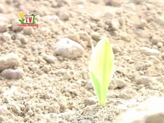 Journal TV Vendée agricole du 29 avril 2011