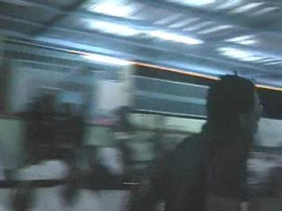 dj lewis dance grippe aviaire