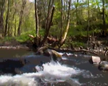 ardennes belge 042011 solarisation