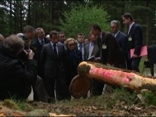 Replanter, transformer : des mesures pour la filière bois