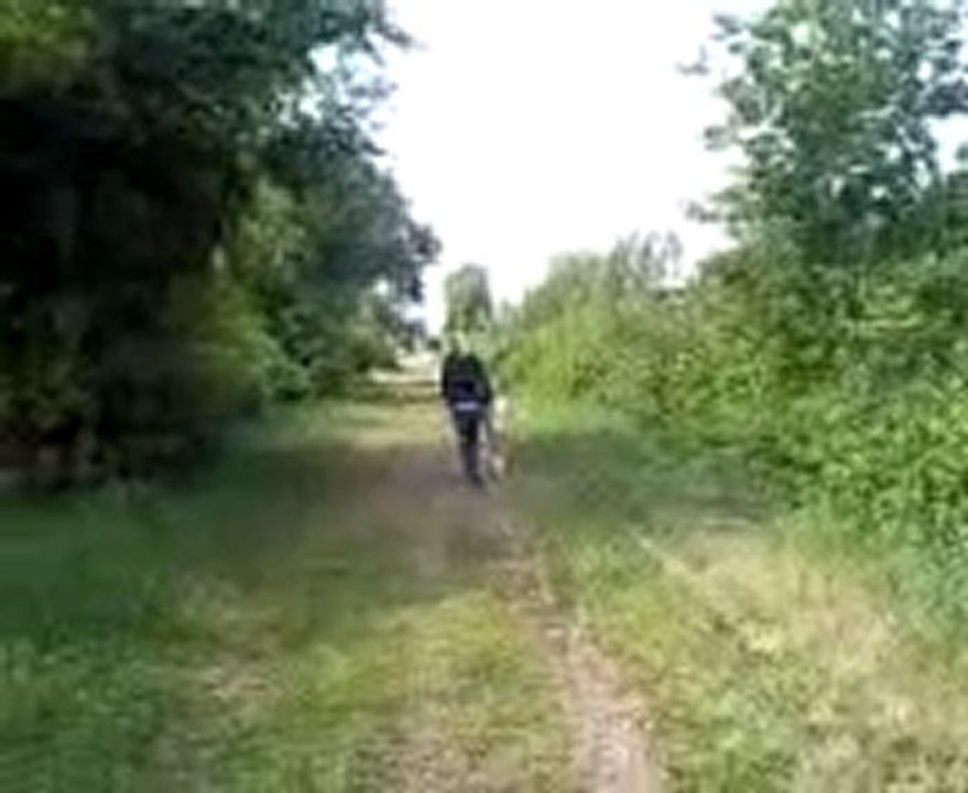 promenade 2eme partie