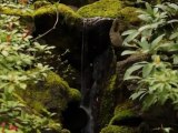 Epic Things to Do in Portland - PDX Japanese Garden, ...