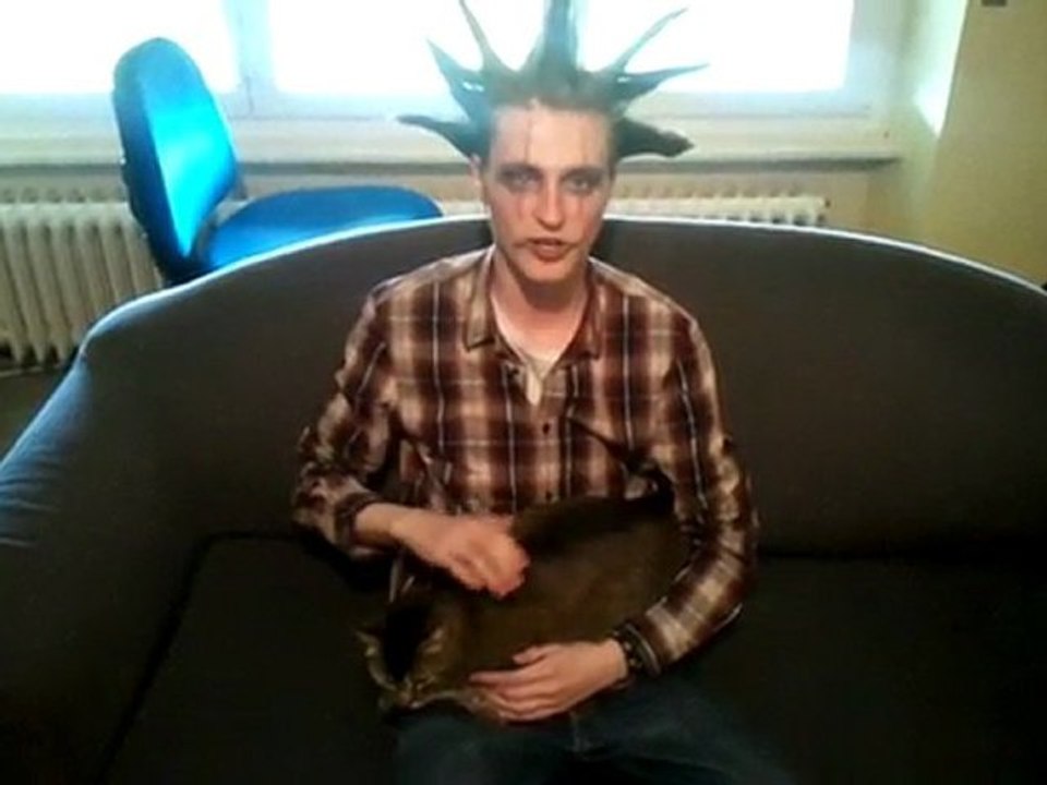 Avis de recherche-charette solaire