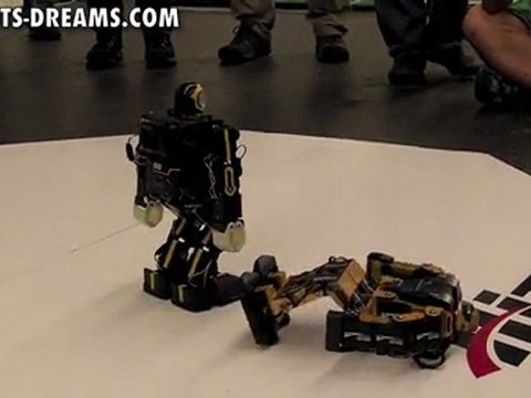 RoboGames 2011 - Day 3 Humanoid Robot Kung-fu - Match 3