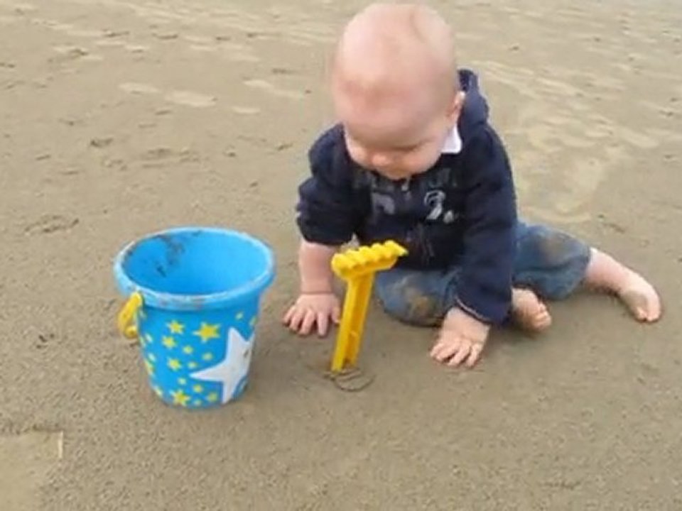 4_Pattes_Plage_Avril_2011