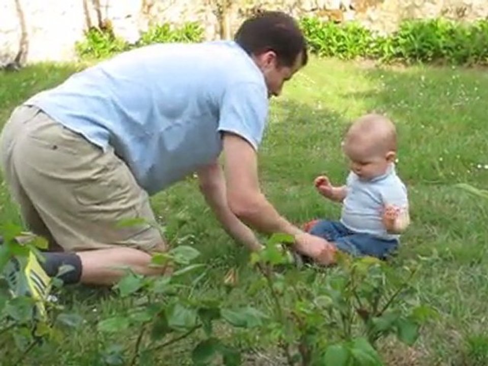 Jardin_Talmont_Avril_2011