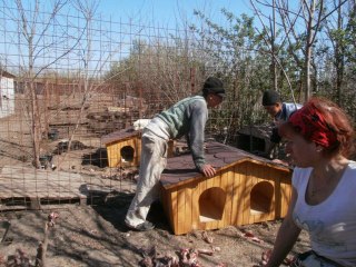 montage voyage du   24 04 2011