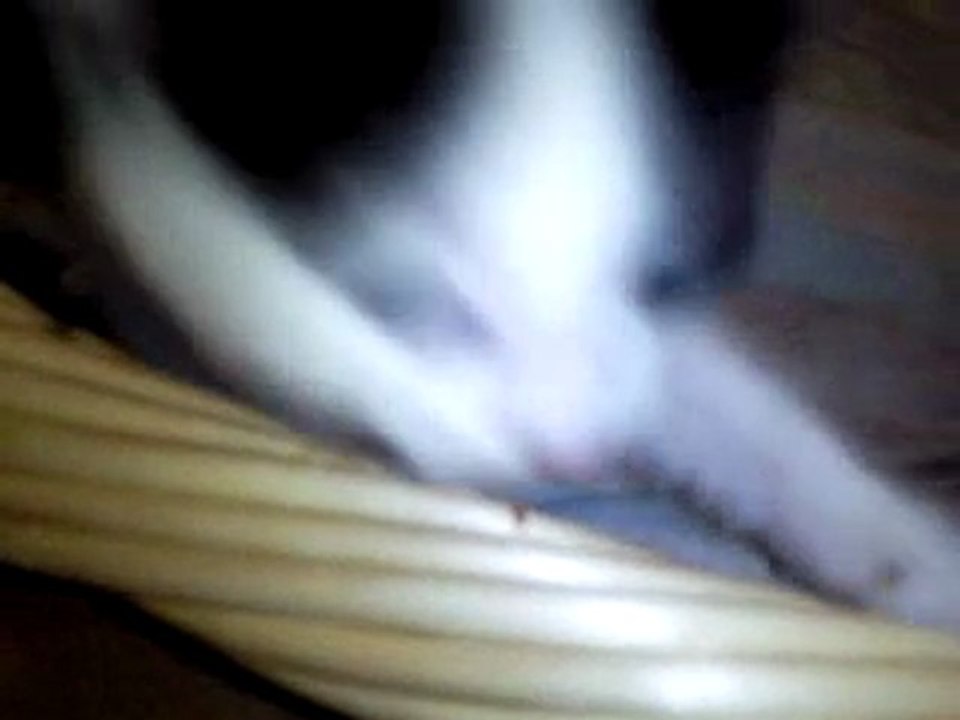 Vidéo0022