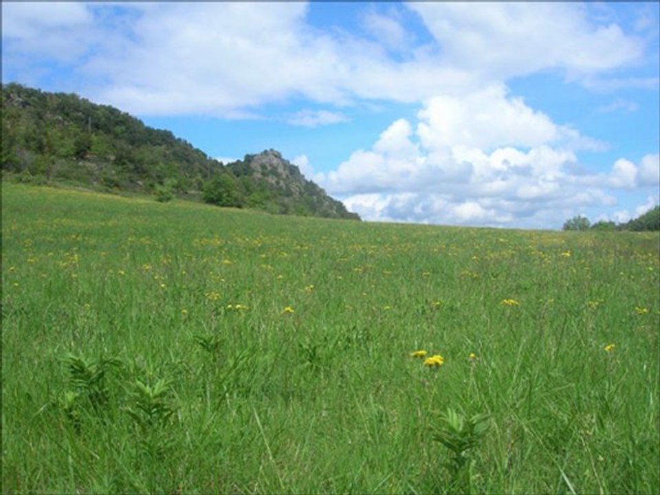 la vie tout simplement