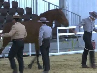 Isleña DM Alcab 2011 20022011