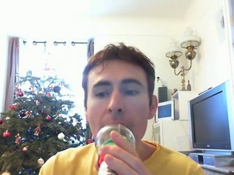 Wiwi égratigne la fontaine de Dijon