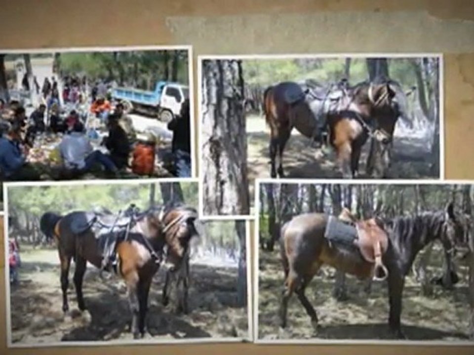 agios georgios L Myloi 2011