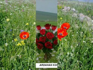 ARDAHAN RESİMLERİ @ Mehmet ali arslan VİDEOS