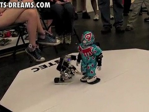 RoboGames 2011 - Day 3 Humanoid Robot Kung-fu - Match 8