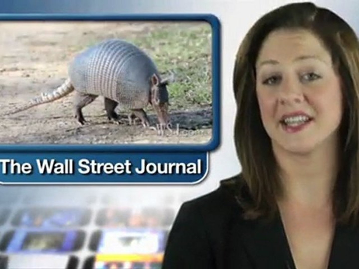 A Link to Leprosy Through Armadillos?