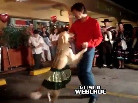Chien qui danse super bien comme un humain