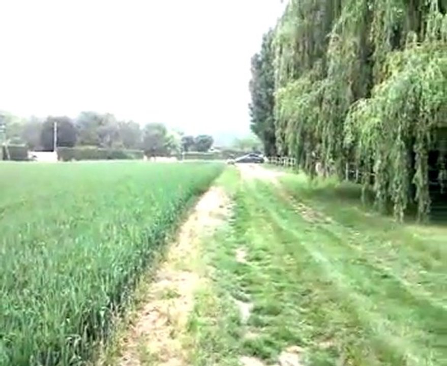 2011-04-29 18.10.21