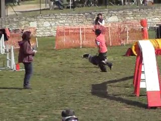 daytona degré villeneuve