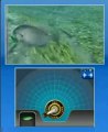 Reel Fishing Paradise 3D - Gameplay - Nintendo 3DS