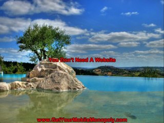 business franchise internet marketing