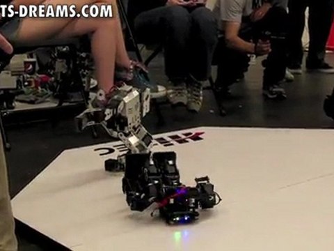 RoboGames 2011 - Day 3 Humanoid Robot Kung-fu - Match 9