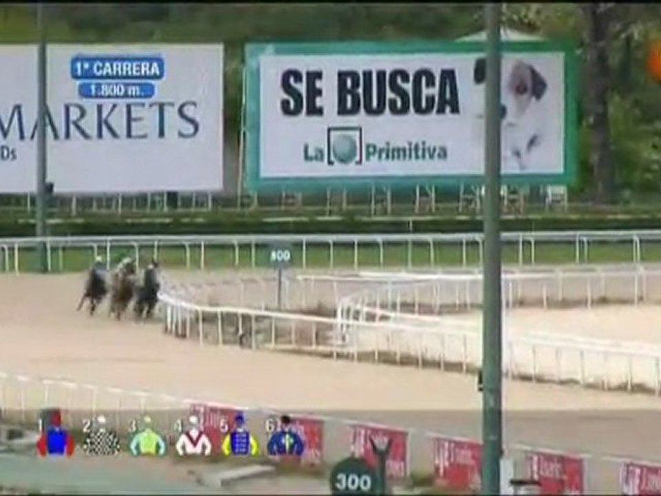 2010.04.29, nº 141 LZa (SEPI (Yeguas) PANACEA