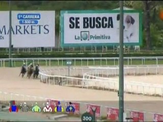 2010.04.29, nº 141 LZa (SEPI (Yeguas) PANACEA