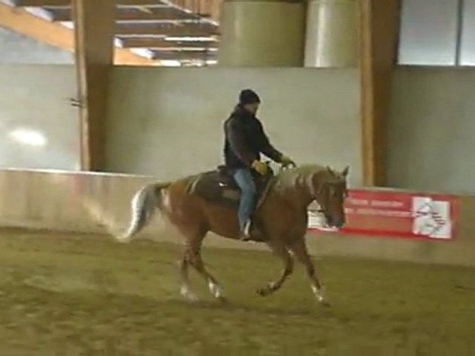 LuckyBoy lynx : Lucky dun rock * Tootsie lynx : 6 mois de travail